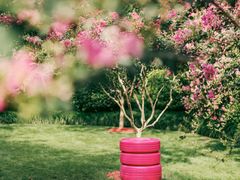 -杭州城北体育公园