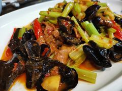 泡椒仔姜鲜牛肝-伊兰麒兰馨园·川菜·清真馆(339电视塔店)