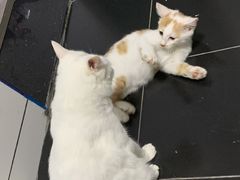 -富侨养生(康乾店)