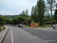 -天花井景区