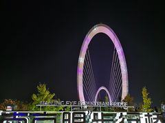-南京眼步行桥