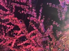 -路边边.炒菜烧烤.音乐餐厅(良乡长虹店)