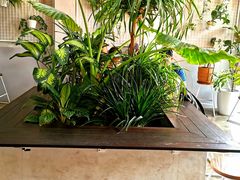 -Five Oars Coffee Roasters Heritage
