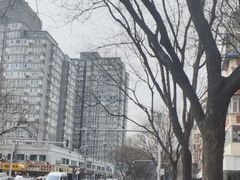 -杨一刀修脚(马连道南街店)