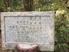 -鼎湖山风景区