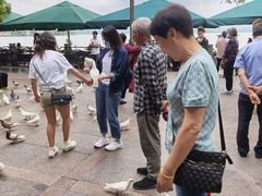 -西湖外事游船(湖滨二公园外事游船码头)