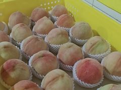 -老袁家蜜桃农场·阳山水蜜桃