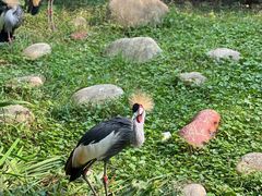 -常州淹城野生动物世界