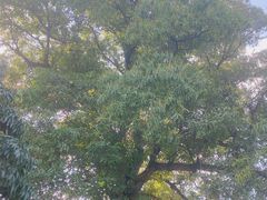 -晓雯人家