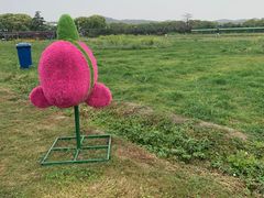 -苏州太湖西山岛开心农场