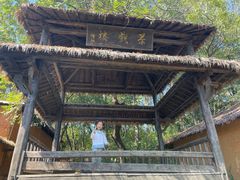 -杏花村文化旅游区