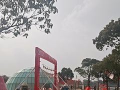 -上海都市菜园