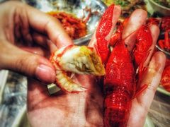 -巴厘龙虾·榜首油焖大虾(音乐学院·沿江酒馆店)