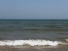 -日照海滨国家森林公园