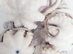 -铭聚章鱼土笋冻(松柏店)