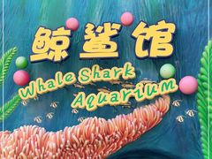-珠海长隆海洋王国