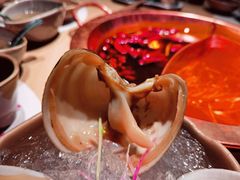 -谭记重庆老火锅(总店)
