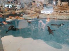 -帝企鹅自助餐厅•儿童岛•真企鹅(长隆企鹅酒店)