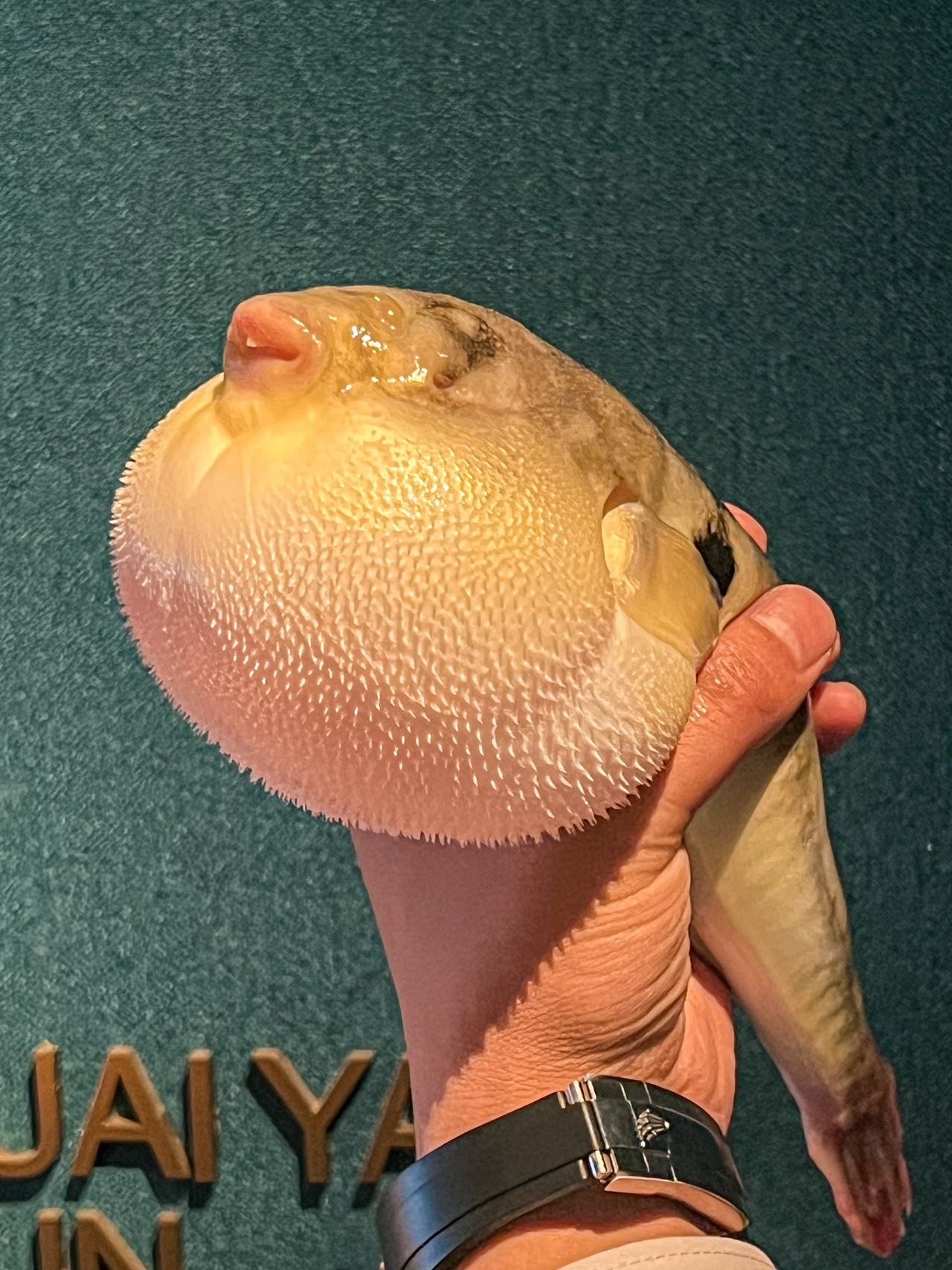 别rua了,要爆炸了!