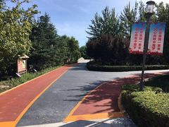 -大兴滨河森林公园