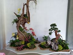 -杭州植物园