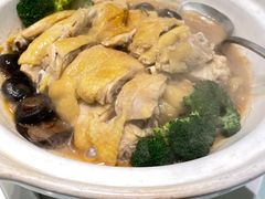 -绿岛国际酒店·海鲜酒楼(八七路店)