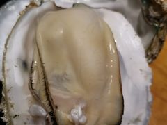 -烧蠔帮·湛江生蚝(工农店)