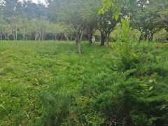 -大连植物园