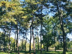 -承德避暑山庄景区