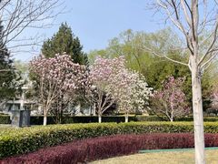 -建国门(地铁站)