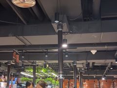 -猫爪爪原切自助烤肉(观音桥阳光世纪店)