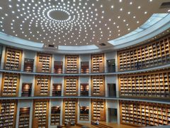 -浙江越秀外国语学院