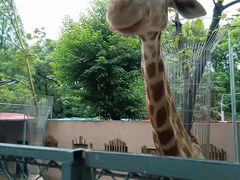 -荆州中山公园动物园