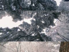 -终南山南五台景区