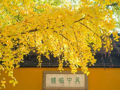 -西园戒幢律寺