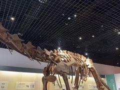 -衢州市博物馆