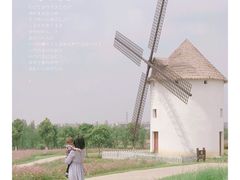 -金卉庄园