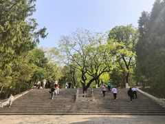 -千佛山风景名胜区
