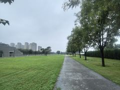-定鼎门遗址博物馆