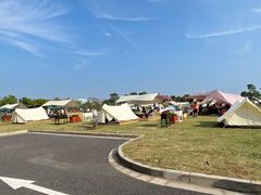 -春花秋色城市公园