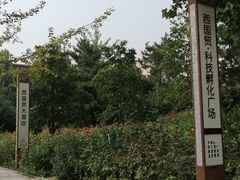 -北京西国贸大酒店