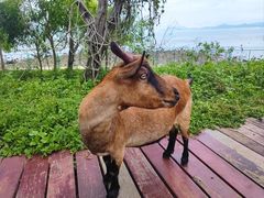-三亚西岛海洋文化旅游区