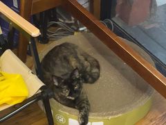 -FEELINGME乐刻私教馆·健身(沿海赛洛城店)