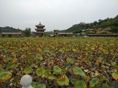 -渭南桃花源民俗文化园