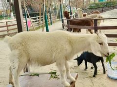 -盈香心动乐园
