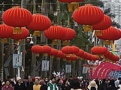 -万绿园