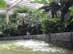 iphone_upload_pic-龙达温泉生态城