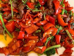 小炒黄牛肉-阿斯牛牛·凉山菜(新会展店)