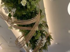 -Aqua Oasis 水天堂(太湖中心mall店)