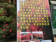 -木兰云雾山